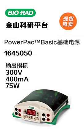 C18键合硅胶 反相硅胶 ODS填料 厂家直供 球型100-200目